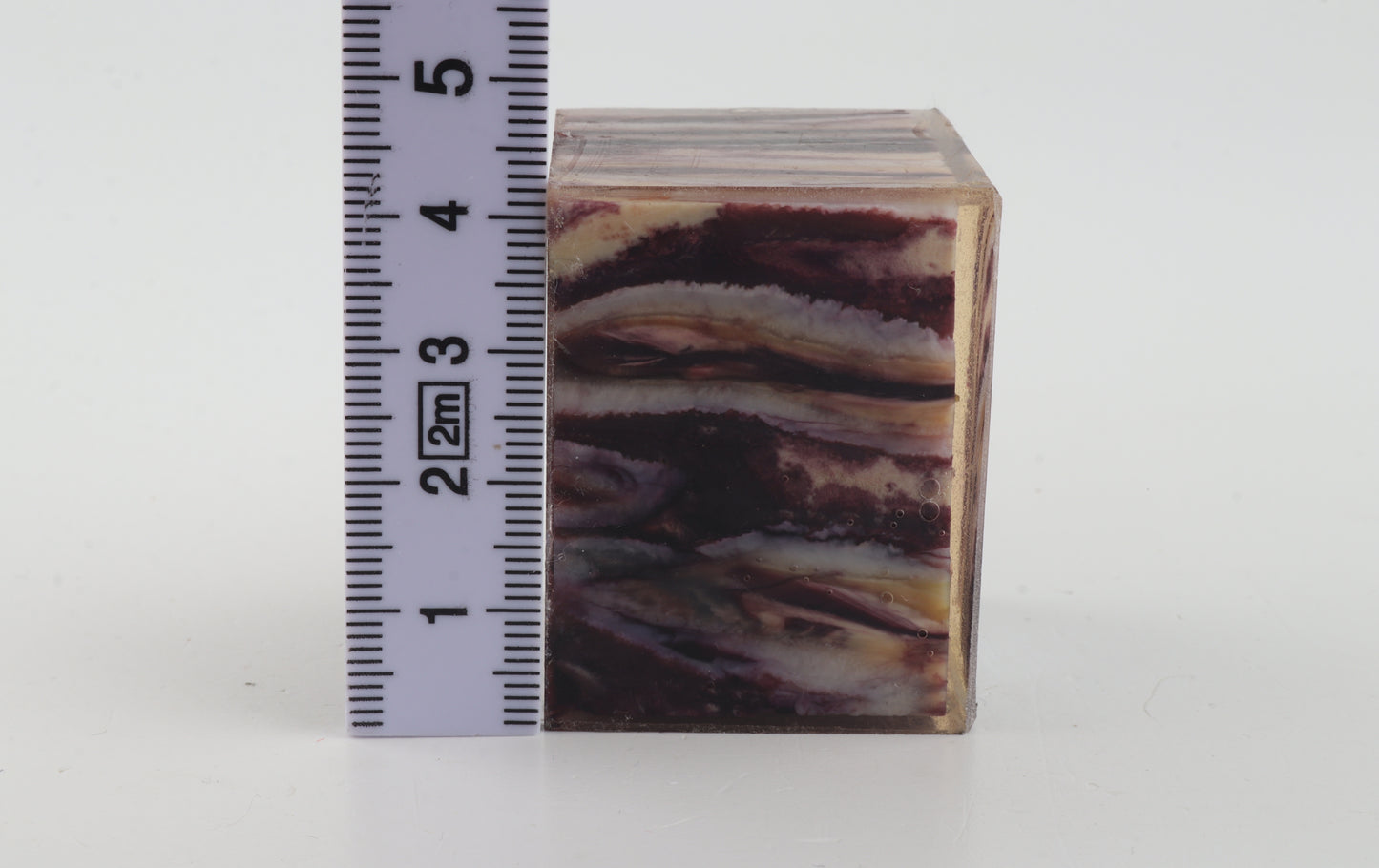 Stabilised mammoth molar piece