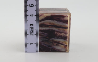 Stabilised mammoth molar piece