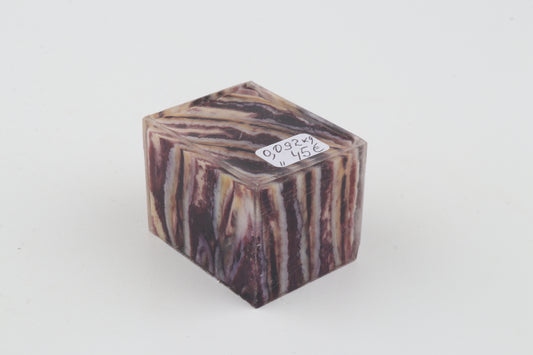 Stabilised mammoth molar piece