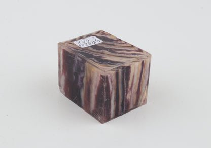 Stabilised mammoth molar piece