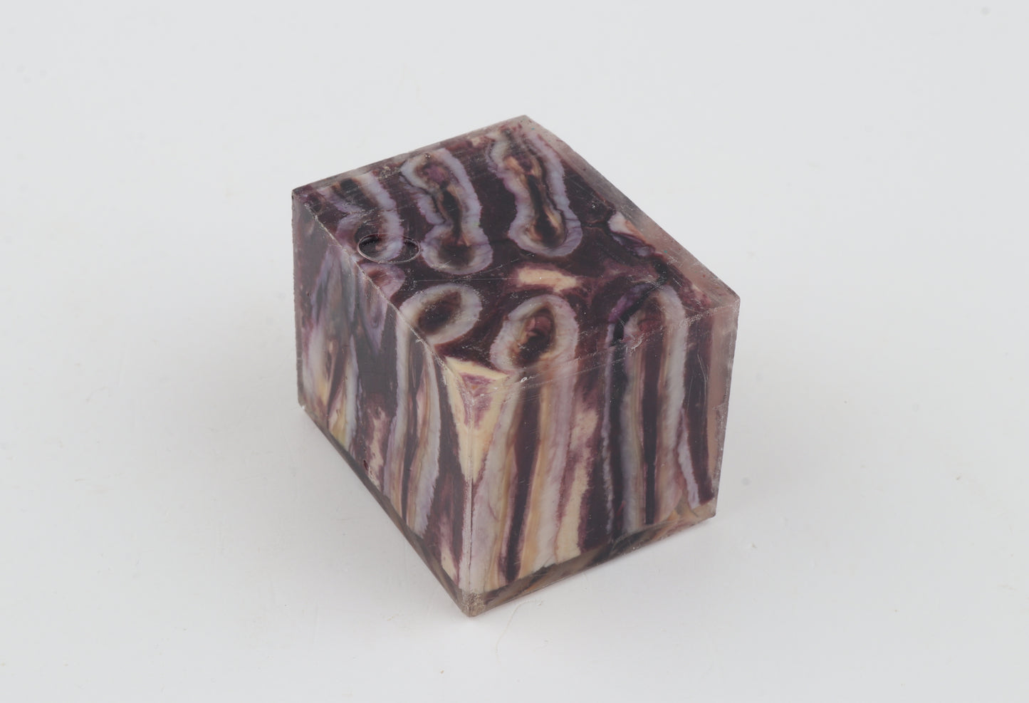 Stabilised mammoth molar piece
