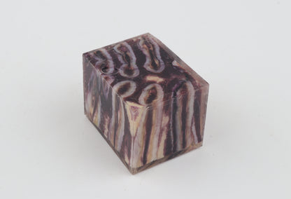 Stabilised mammoth molar piece