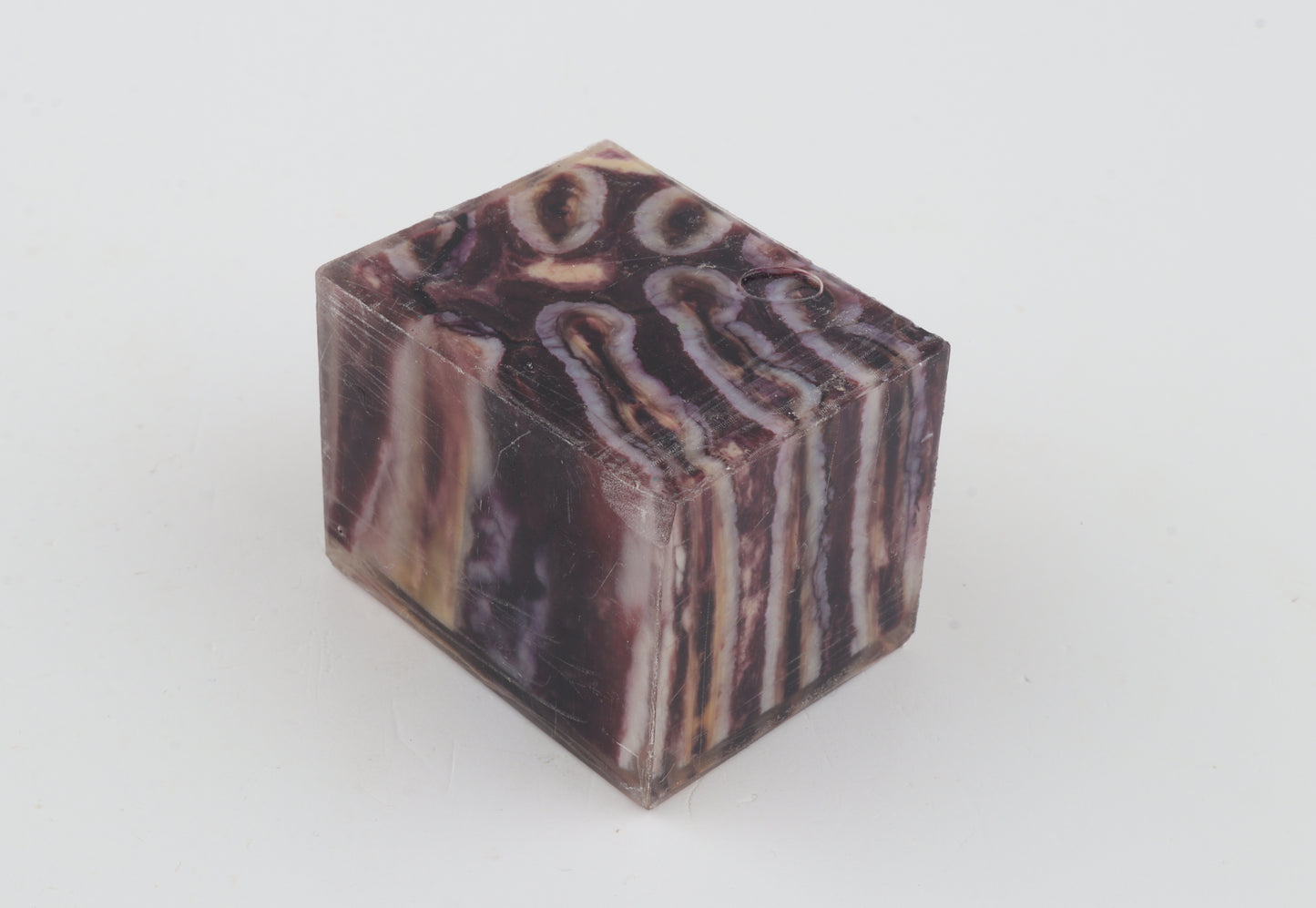 Stabilised mammoth molar piece