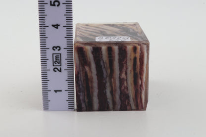 Stabilised mammoth molar piece