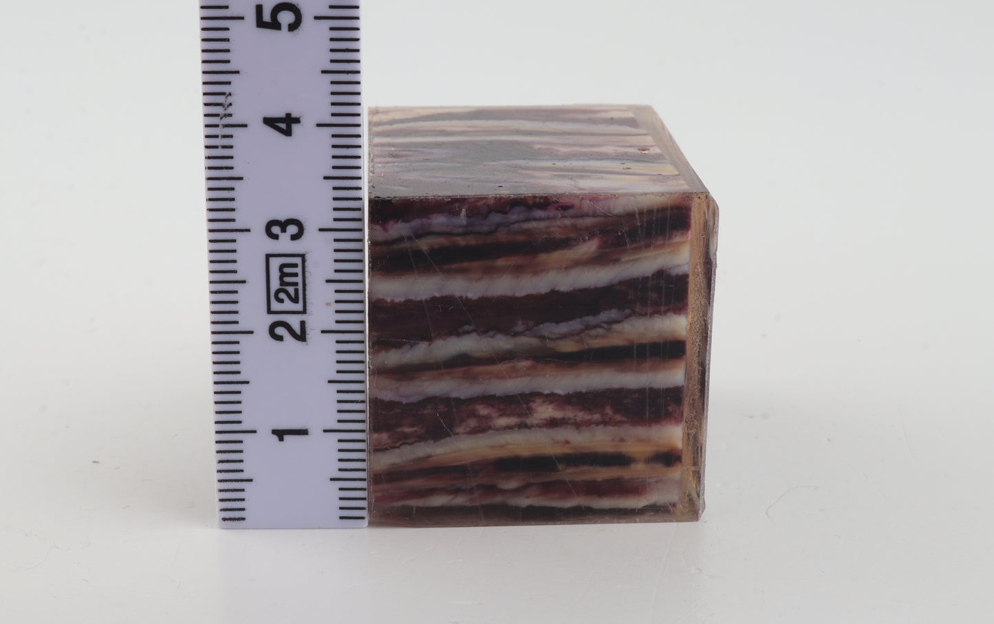 Stabilised mammoth molar piece