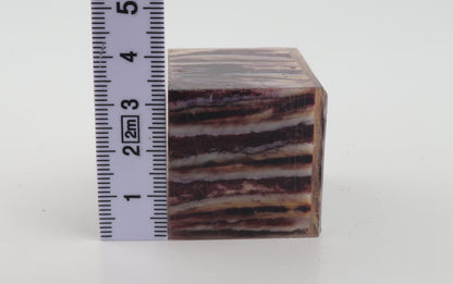 Stabilised mammoth molar piece