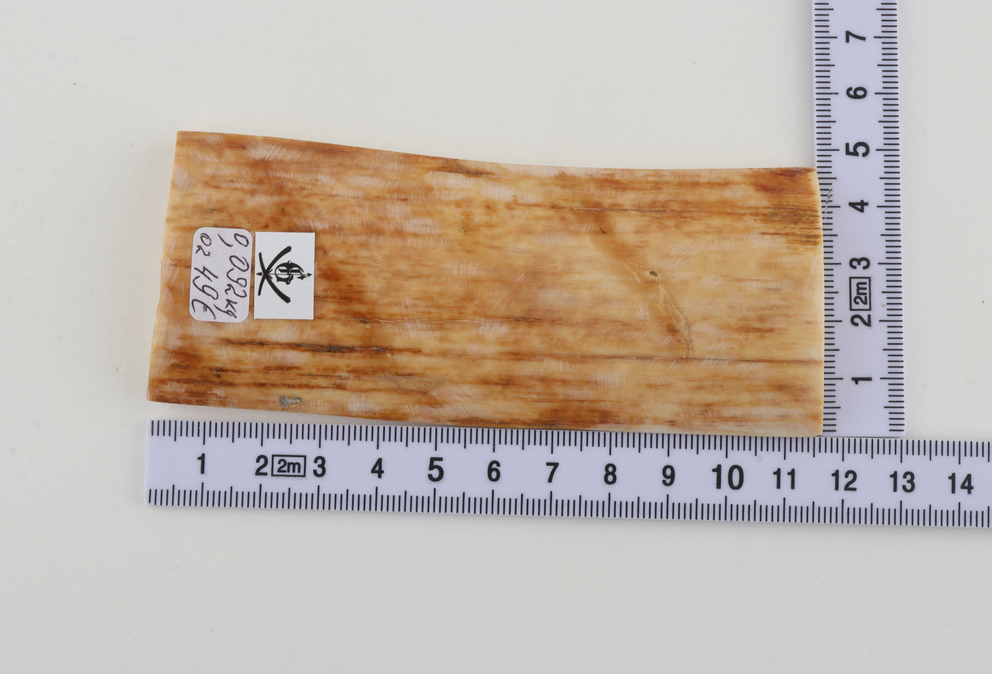 Creme-orange mammoth bark