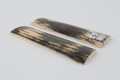 Natural mammoth bark scales