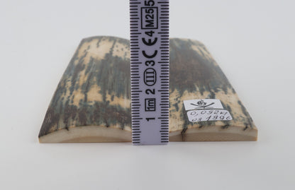 Natural mammoth bark scales