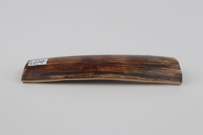 Brown-orange mammoth bark