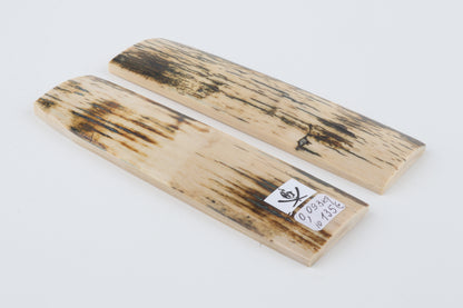 Natural mammoth bark scales