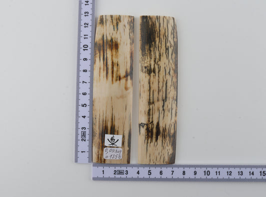 Natural mammoth bark scales