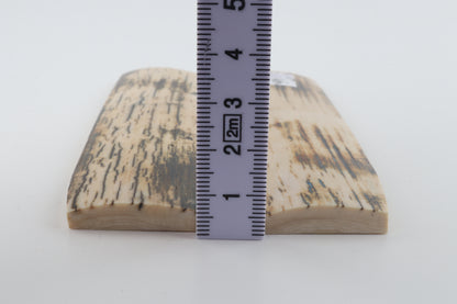 Natural mammoth bark scales