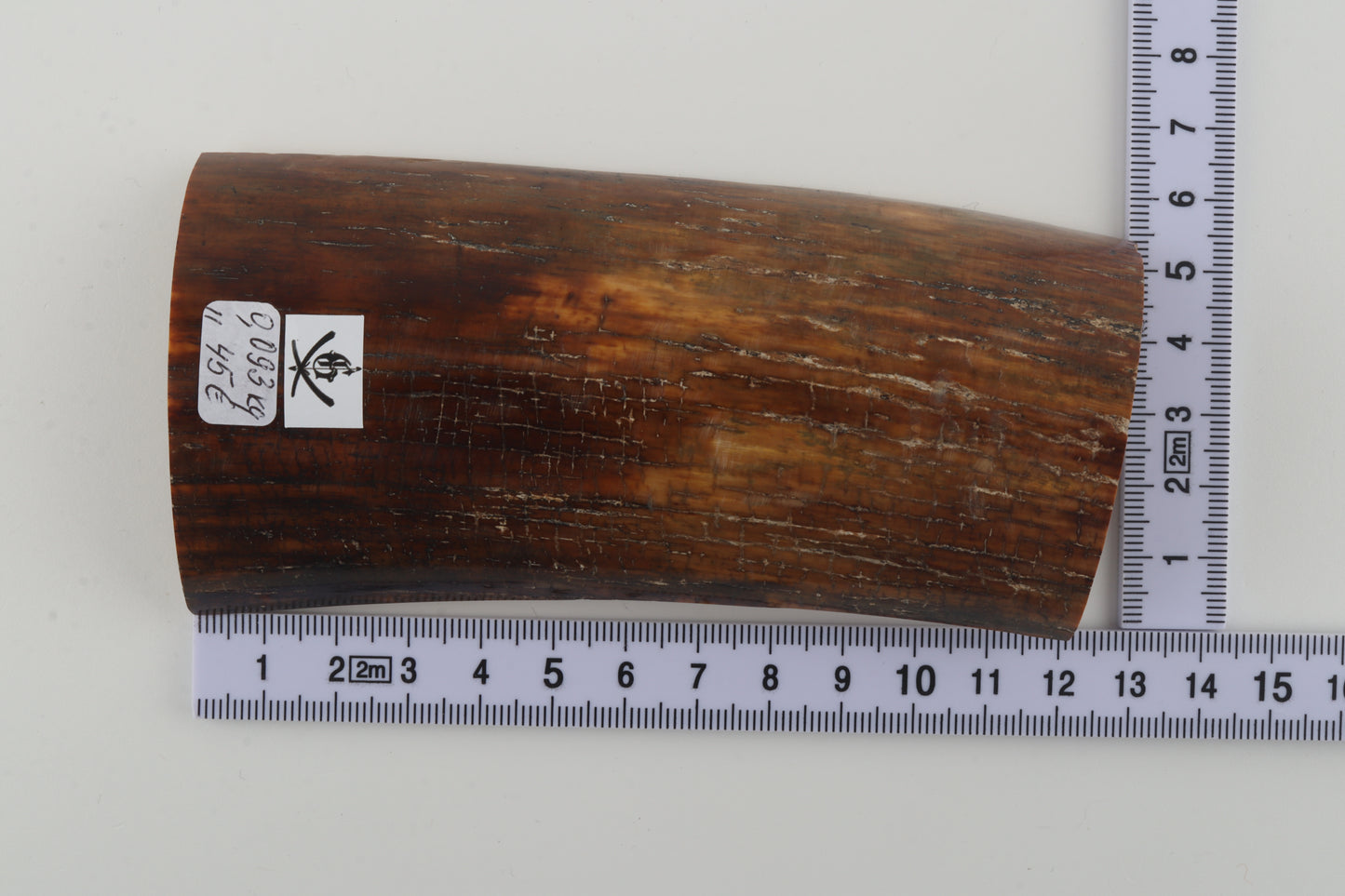 Brown-caramel mammoth bark