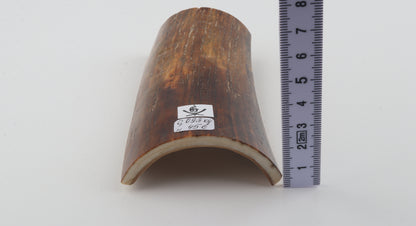 Brown-caramel mammoth bark