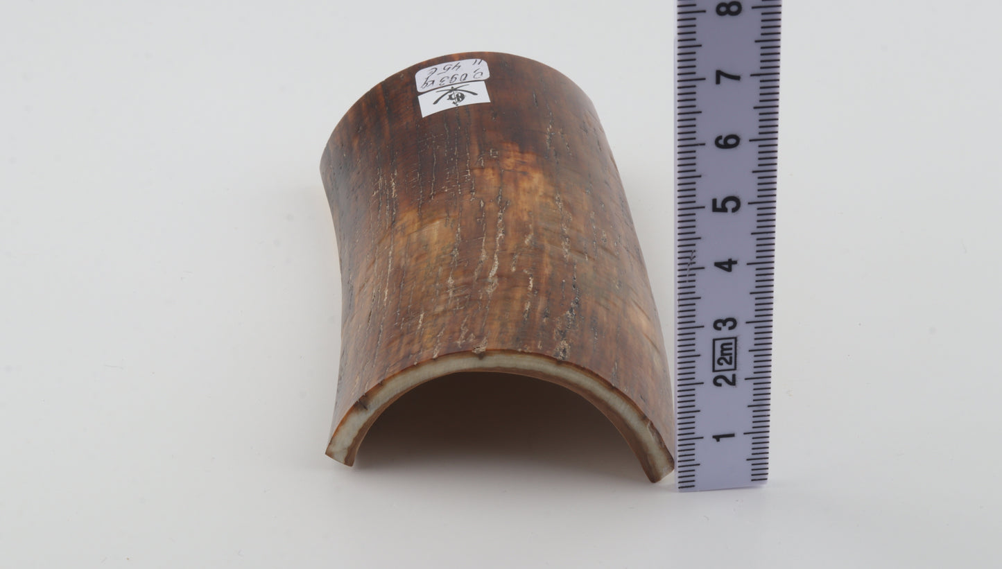 Brown-caramel mammoth bark