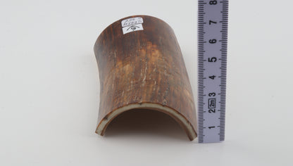 Brown-caramel mammoth bark