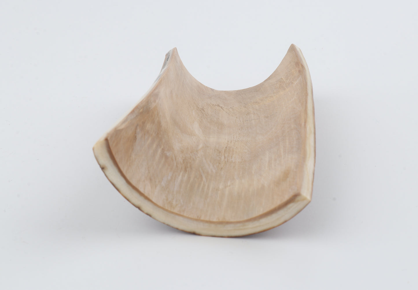 Brown-caramel mammoth bark