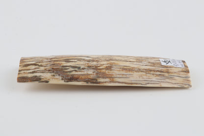 White-beige mammoth bark