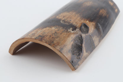 Chocolate-brown mammoth bark