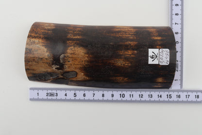 Chocolate-brown mammoth bark