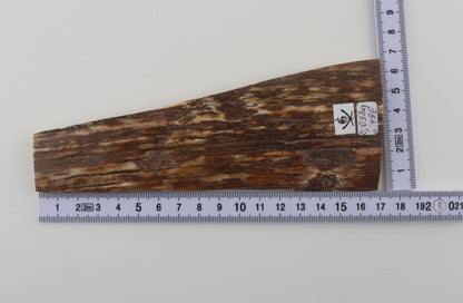 Brown woolly mammoth bark