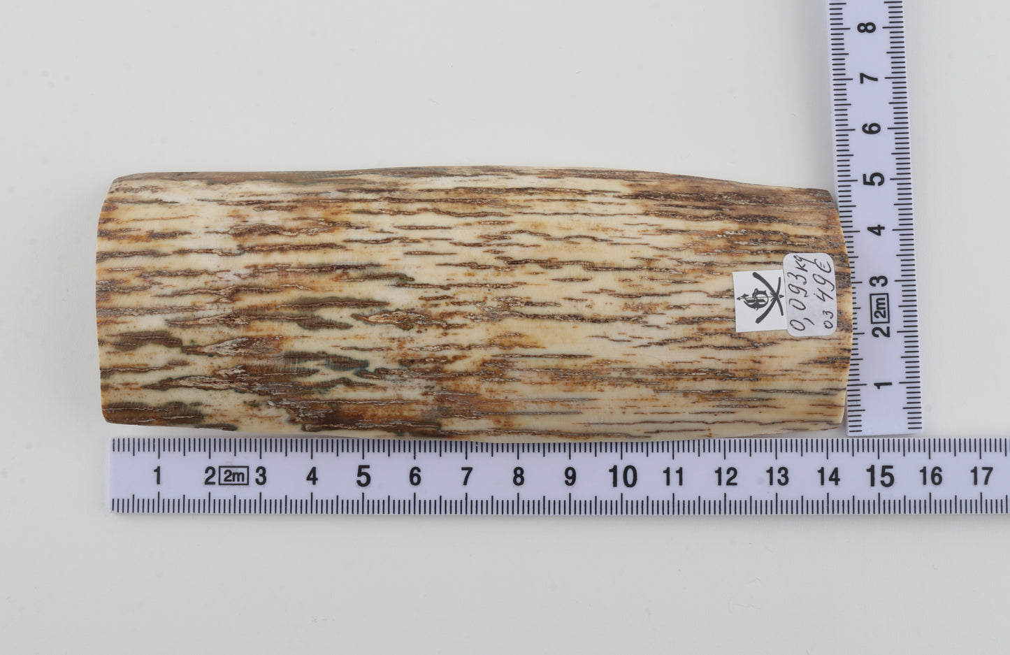 White-beige mammoth bark