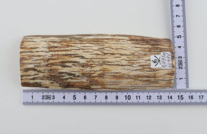 White-beige mammoth bark