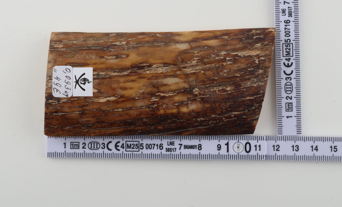 Brown mammoth bark
