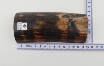 Chocolate-brown mammoth bark