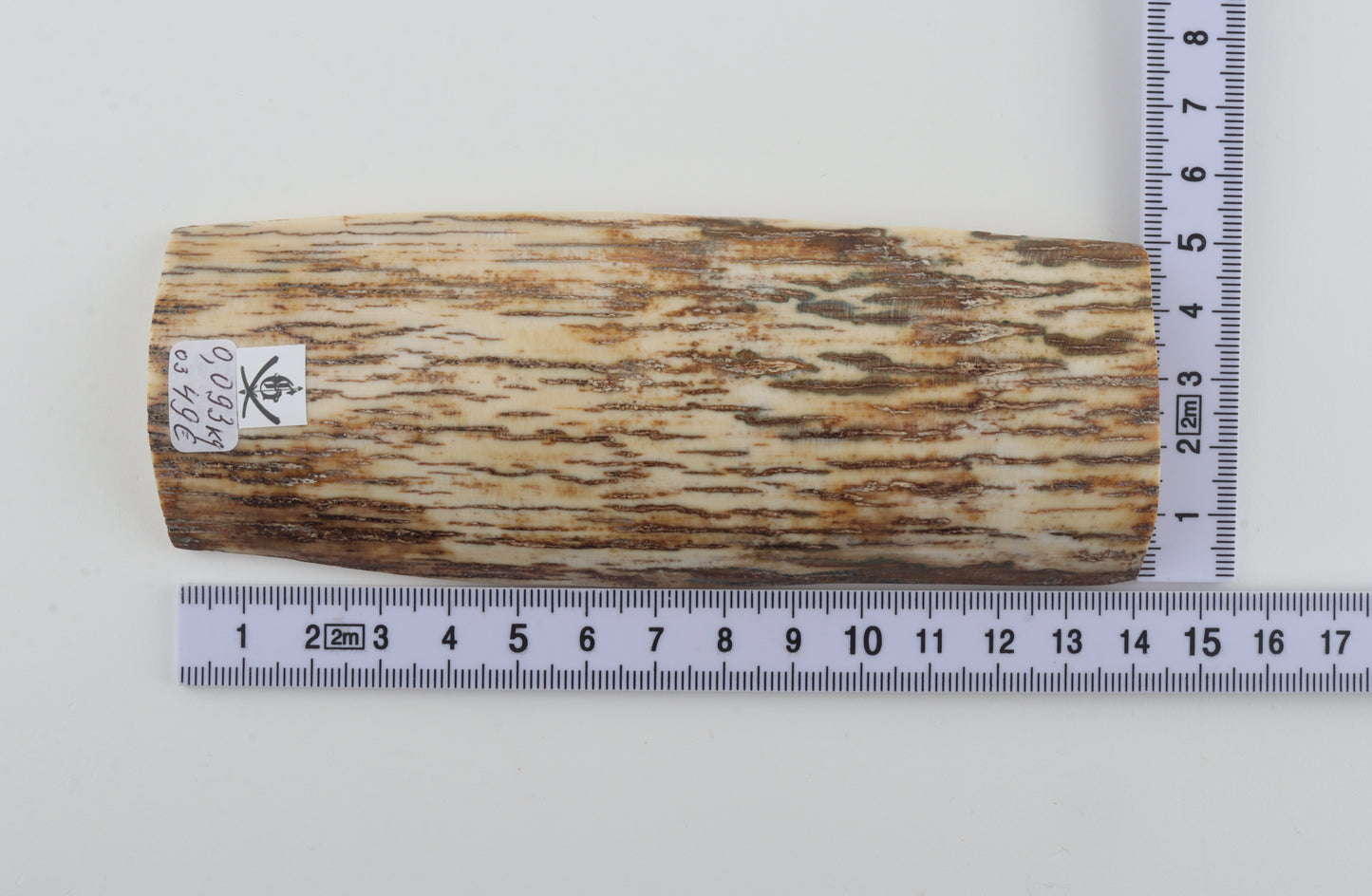 White-beige mammoth bark