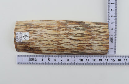 White-beige mammoth bark