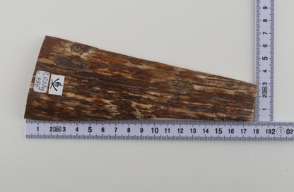 Brown woolly mammoth bark