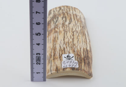White-beige mammoth bark