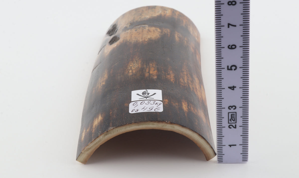 Chocolate-brown mammoth bark
