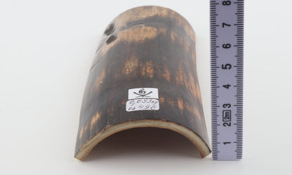 Chocolate-brown mammoth bark