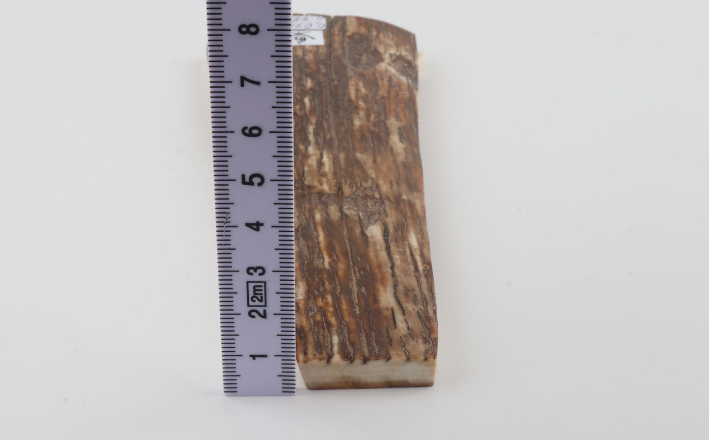 Brown woolly mammoth bark