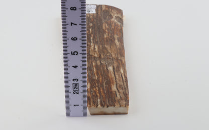 Brown woolly mammoth bark