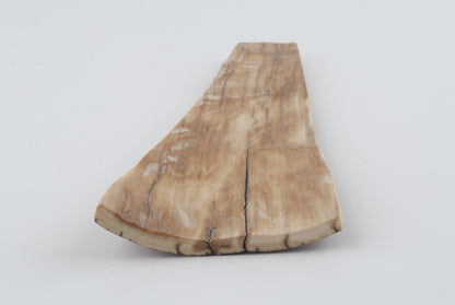 Brown woolly mammoth bark