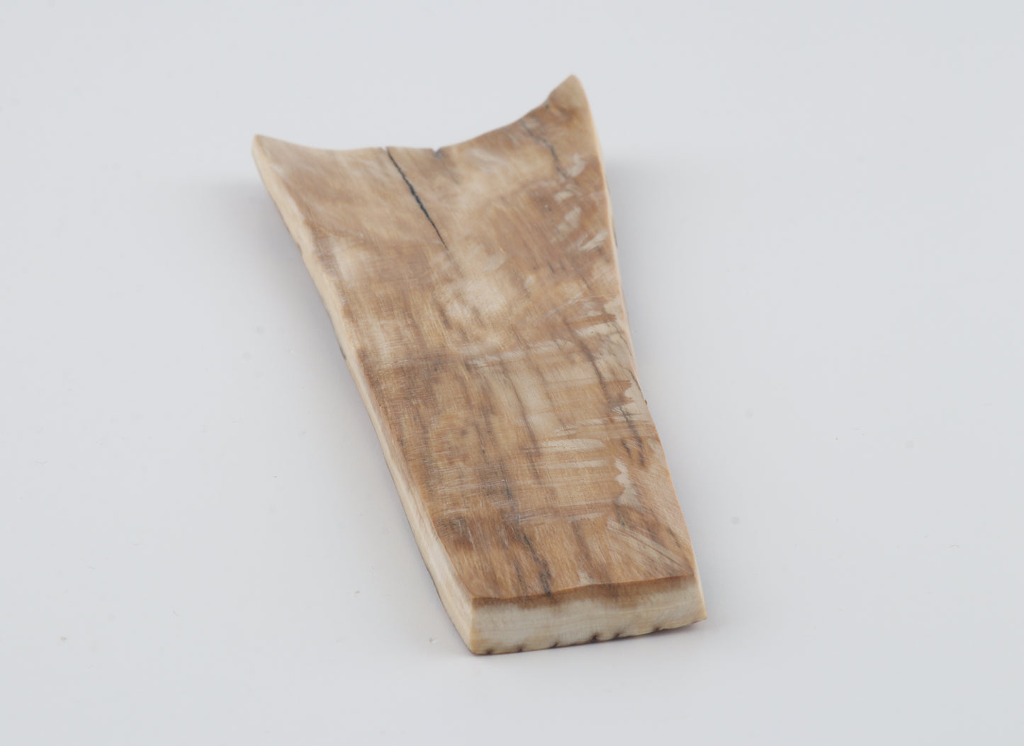 Brown woolly mammoth bark