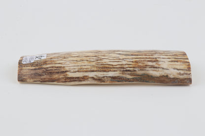 White-beige mammoth bark
