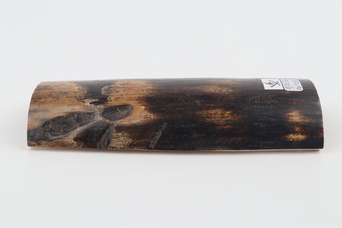 Chocolate-brown mammoth bark