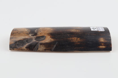 Chocolate-brown mammoth bark