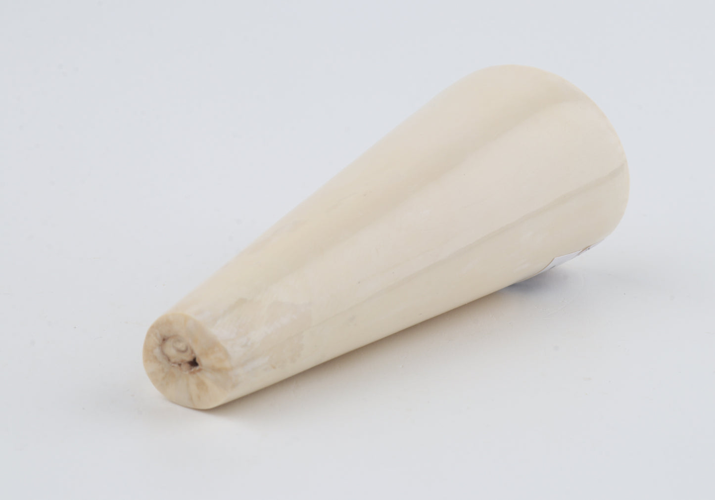 Round mammoth ivory piece