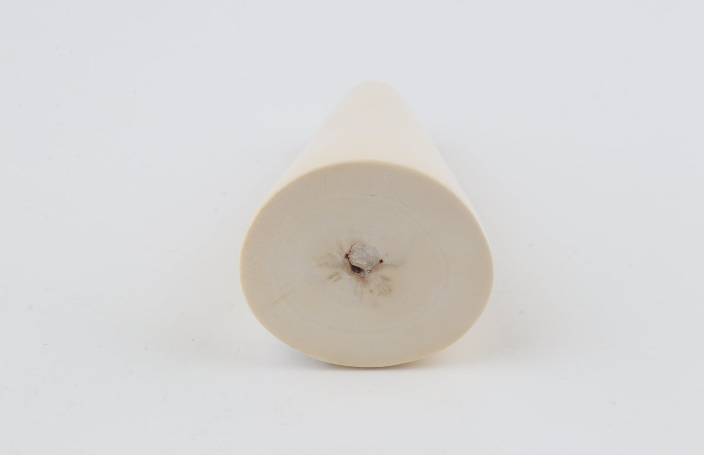 Round mammoth ivory piece