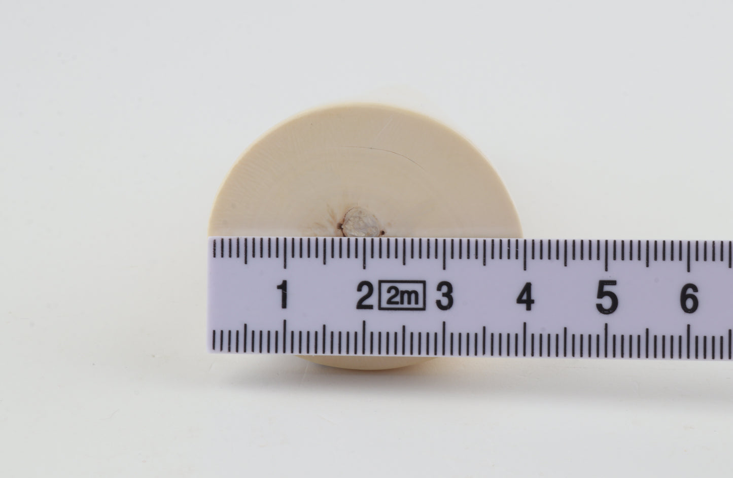 Round mammoth ivory piece