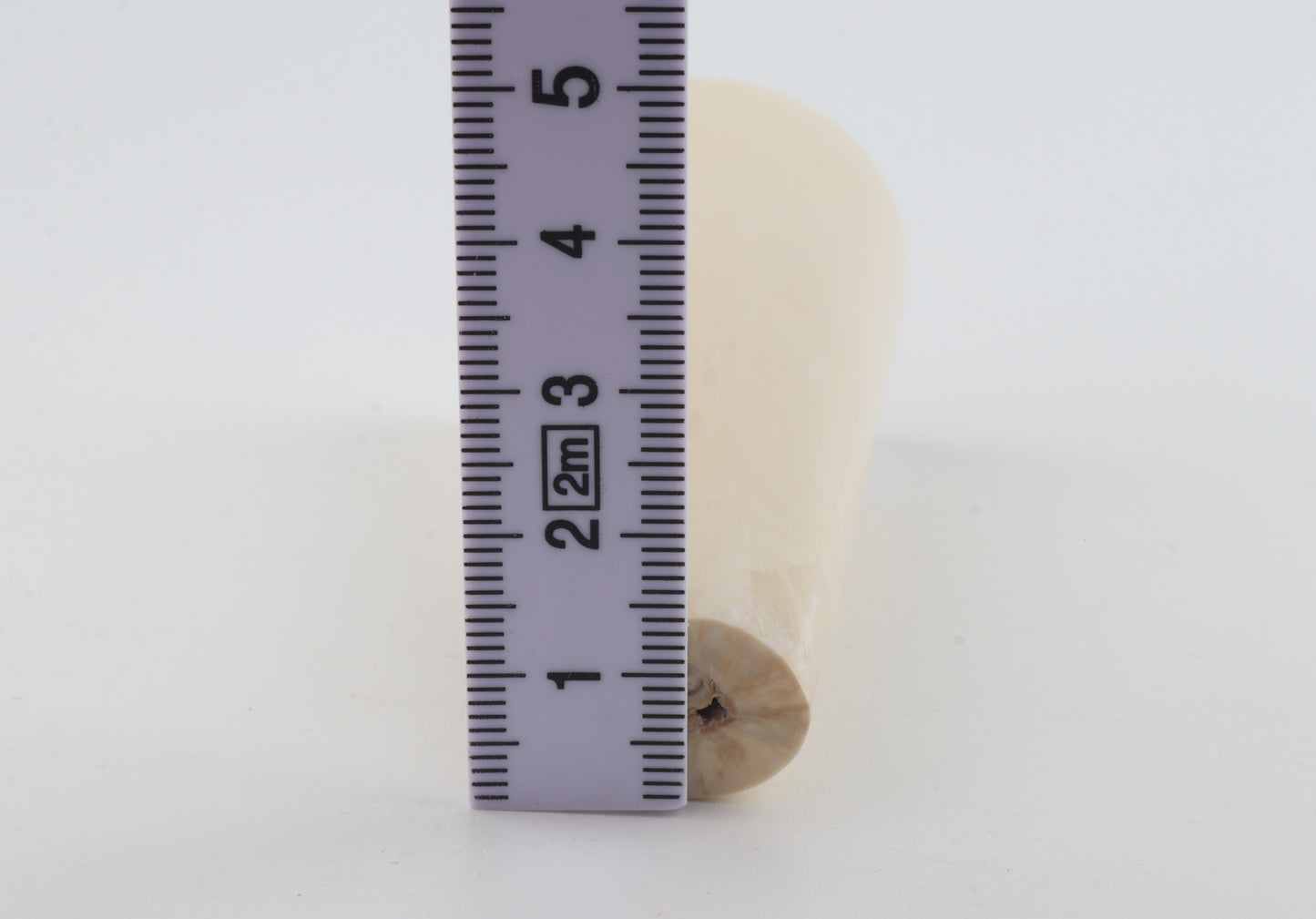 Round mammoth ivory piece