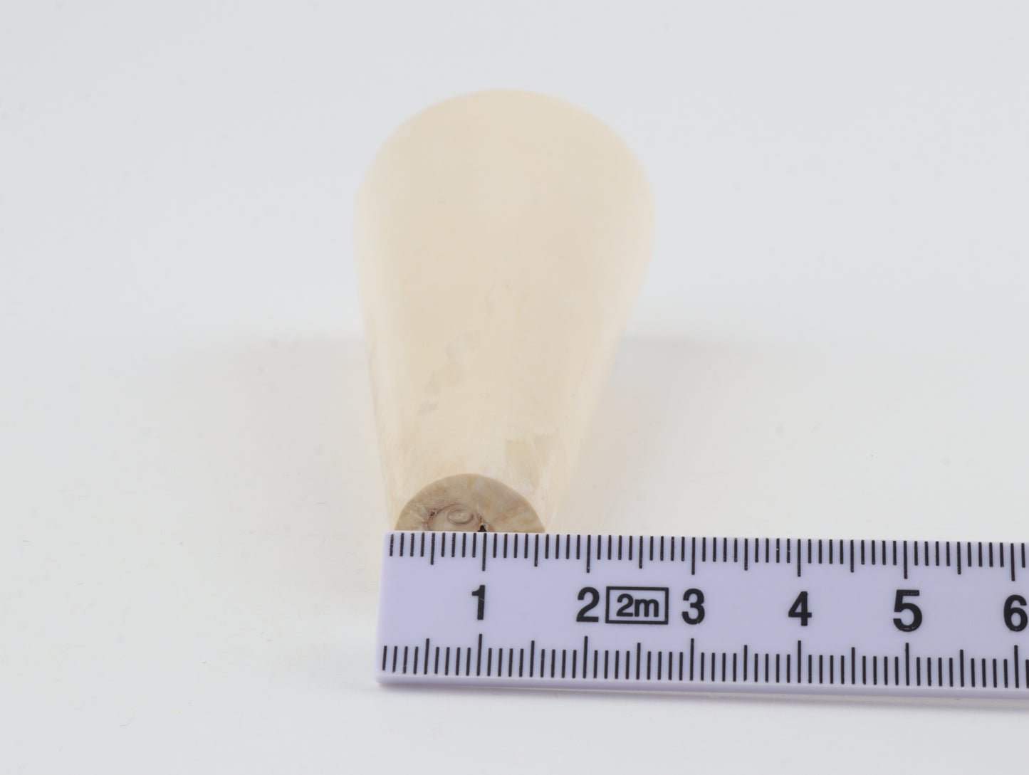 Round mammoth ivory piece
