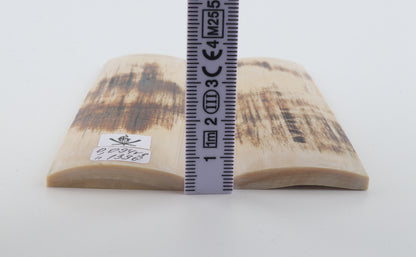 Natural mammoth bark scales