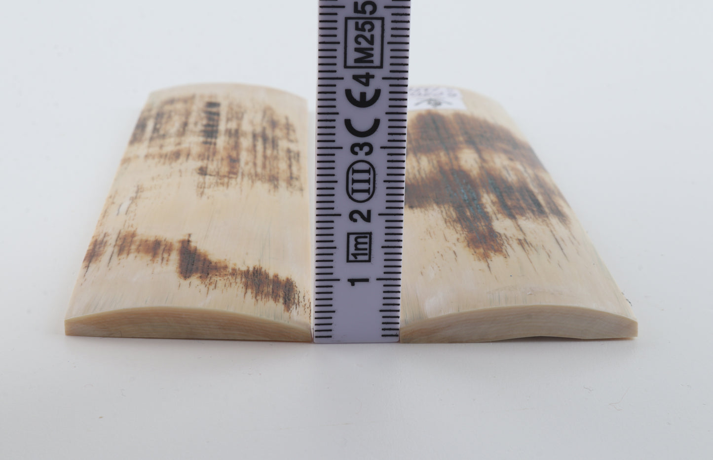 Natural mammoth bark scales